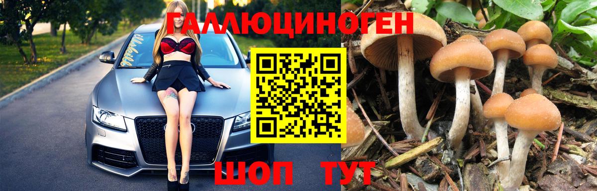 Псилоцибиновые грибы MAGIC MUSHROOMS Нижний Тагил