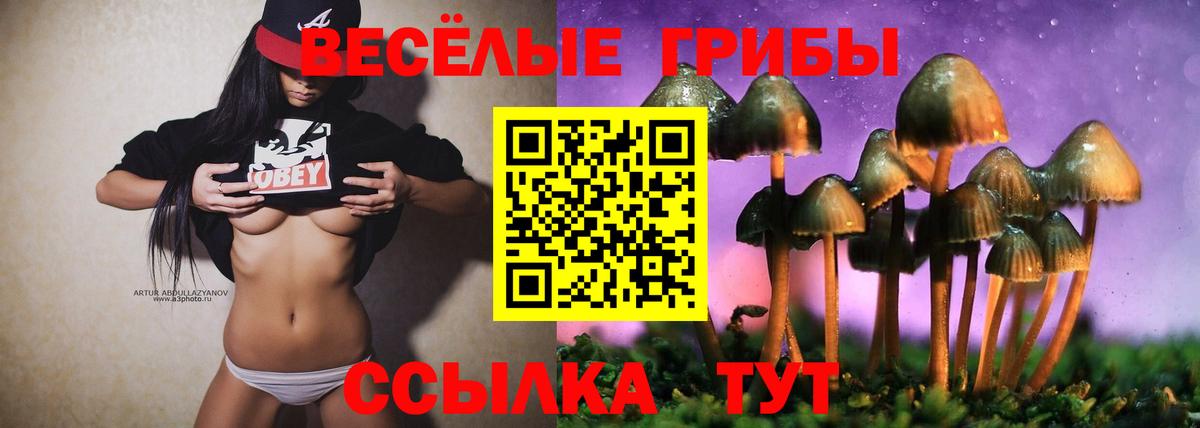 Нижний Тагил  Псилоцибиновые грибы Psilocybine cubensis  Вход с VPN 